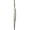 Ekena Millwork Traditional Ceiling Medallion (Fits Canopies up to 8 1/4"), 31 1/2"OD x 2 1/2"P, Flash Copper CM31TRFCS - alternate 4